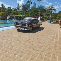 фото из отзыва ID 2736256