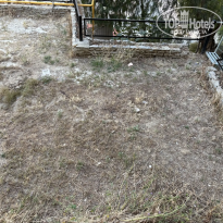 фото из отзыва ID 2736095