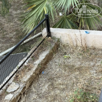 фото из отзыва ID 2736095