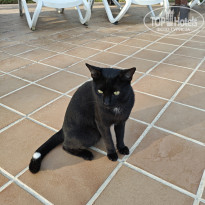 фото из отзыва ID 2736256