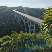 фото из отзыва ID 2736256