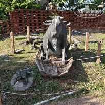 фото из отзыва ID 2736256