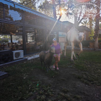 фото из отзыва ID 2736267