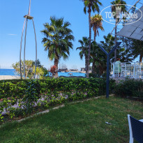 фото из отзыва ID 2736267