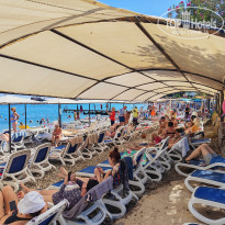 фото из отзыва ID 2736267