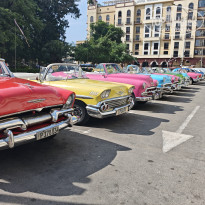 фото из отзыва ID 2736256