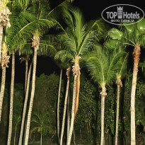 фото из отзыва ID 2736256