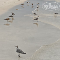 фото из отзыва ID 2736256