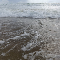 фото из отзыва ID 2736269