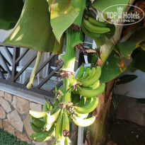 фото из отзыва ID 2736272