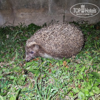 фото из отзыва ID 2736272