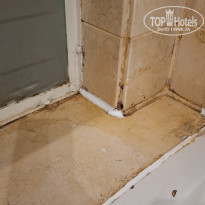 фото из отзыва ID 2736283