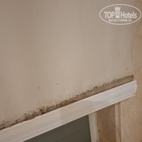 фото из отзыва ID 2736283