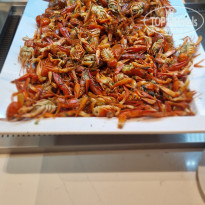 фото из отзыва ID 2736290