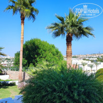 фото из отзыва ID 2736299