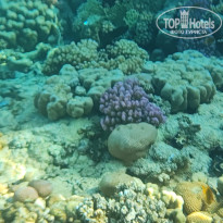 фото из отзыва ID 2736299