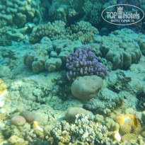 фото из отзыва ID 2736299