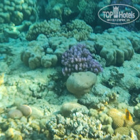 фото из отзыва ID 2736299