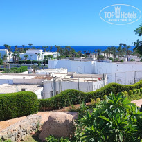 фото из отзыва ID 2736299