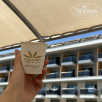 фото из отзыва ID 2736304