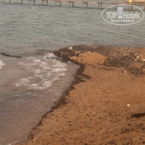 фото из отзыва ID 2736307