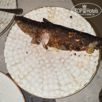 фото из отзыва ID 2736307