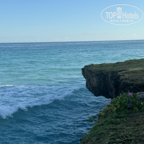 фото из отзыва ID 2736310