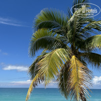 фото из отзыва ID 2736310