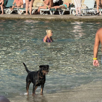 фото из отзыва ID 2736309