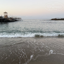 фото из отзыва ID 2736309