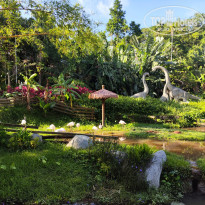 фото из отзыва ID 2736330