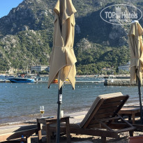 фото из отзыва ID 2736333