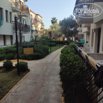 фото из отзыва ID 2736340