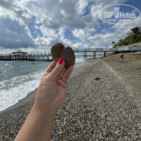 фото из отзыва ID 2736345