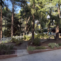 фото из отзыва ID 2736346