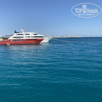 фото из отзыва ID 2736348