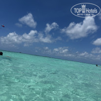 фото из отзыва ID 2736363