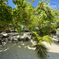 фото из отзыва ID 2736363