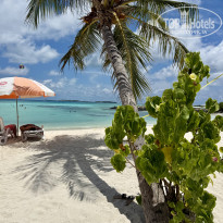 фото из отзыва ID 2736363