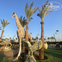 фото из отзыва ID 2736365