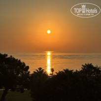 фото из отзыва ID 2736382