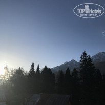 фото из отзыва ID 2736384