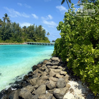 фото из отзыва ID 2736389