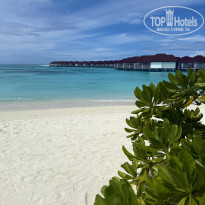 фото из отзыва ID 2736389