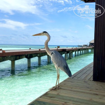 фото из отзыва ID 2736389