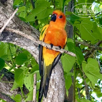 фото из отзыва ID 2736389