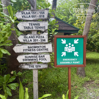 фото из отзыва ID 2736389