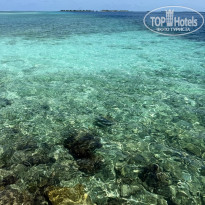 фото из отзыва ID 2736389