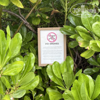 фото из отзыва ID 2736389