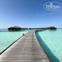 фото из отзыва ID 2736389